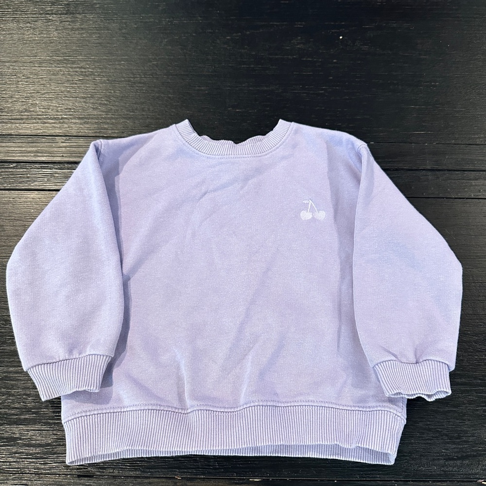 Zara Kids: purple sweatsuit